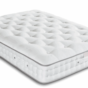 Clovelly Support 1000 *Medium*